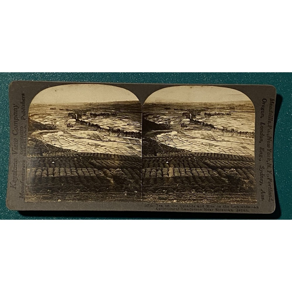 Tea Uplands Rice Lowlands Landscape In Shizuoka JAPAN Keystone Stereoview c1900